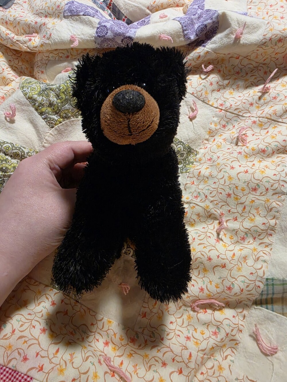 Aurora Black Bear Plush